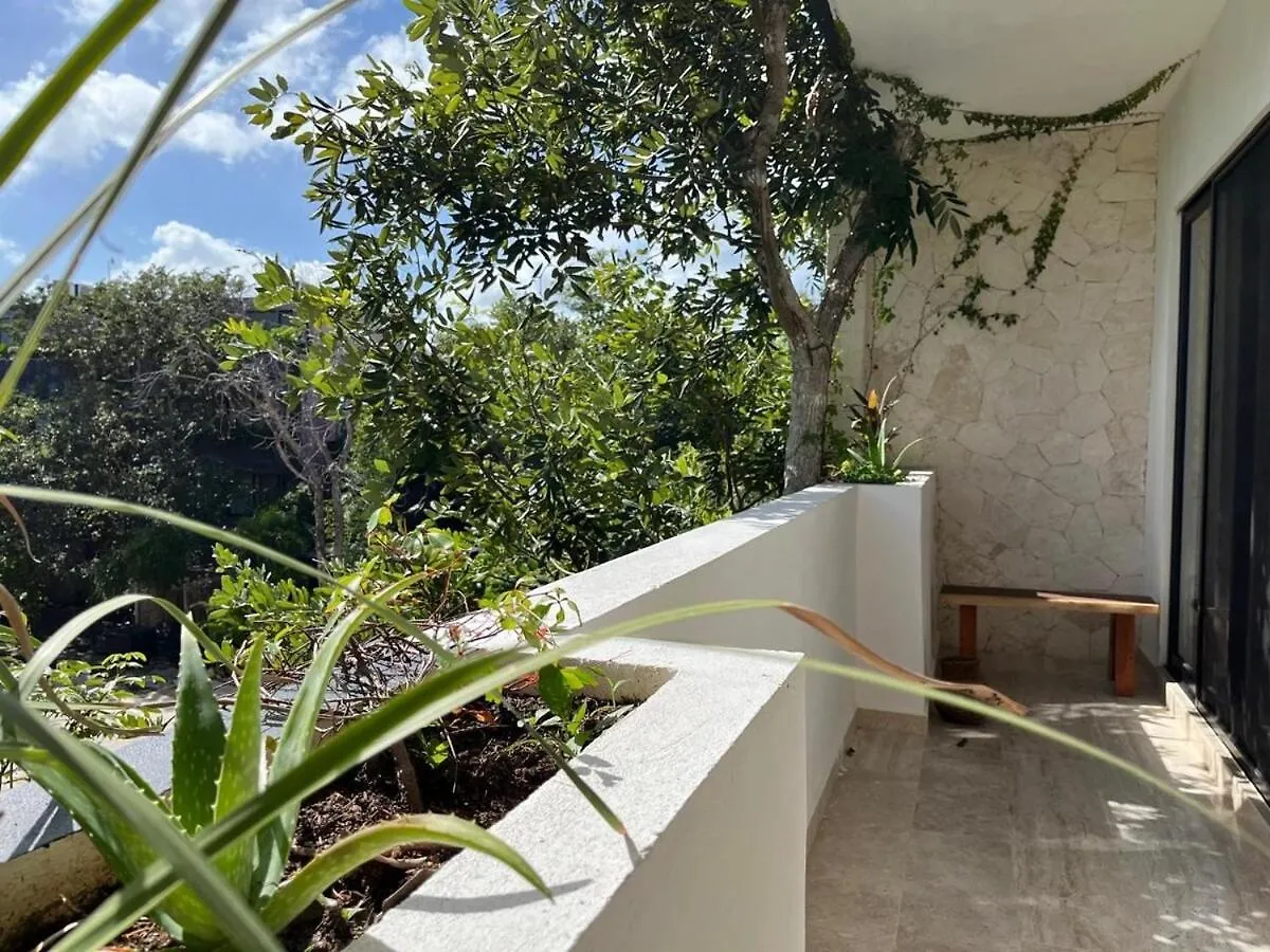 2 Bedrooms 10 Minutes To The Beach Tulum Mexico